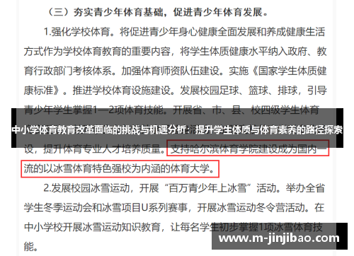 中小学体育教育改革面临的挑战与机遇分析：提升学生体质与体育素养的路径探索